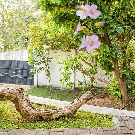 Battaramulla Boutique Villa Шри-Джаяварденепура-Котте Экстерьер фото